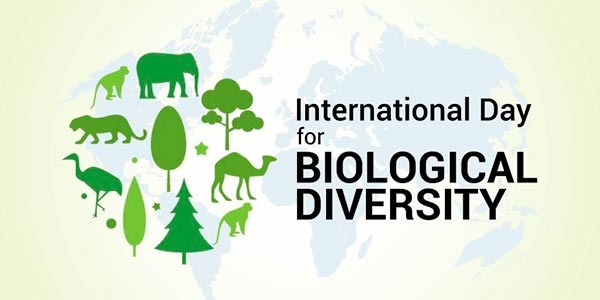 22 de mayo: Día Internacional de la Diversidad Biológica