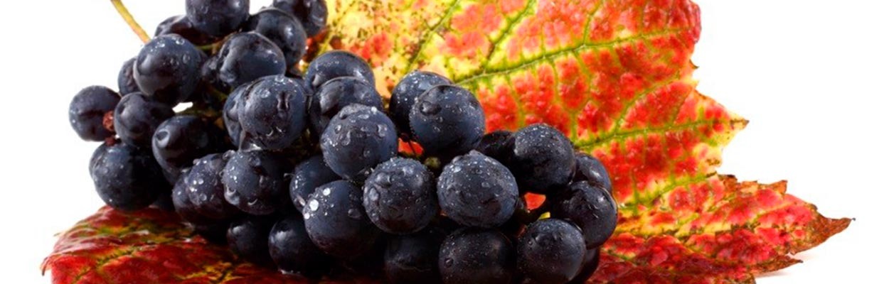 Siete beneficios de la uva negra