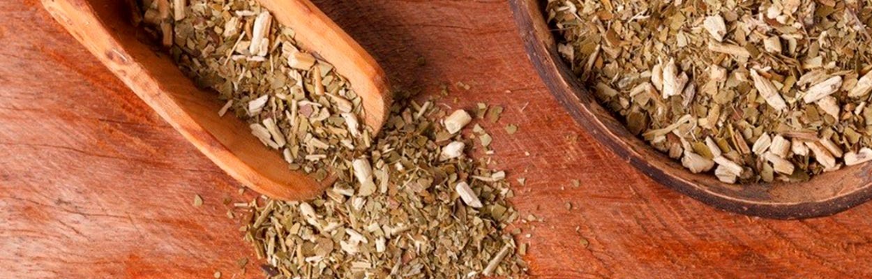 5 beneficios del té de yerba mate